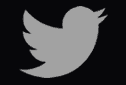 Twitter Logo